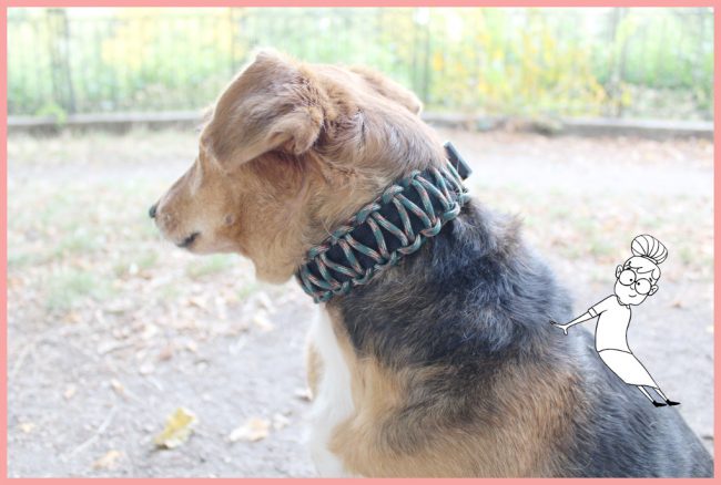 Halsband selber machen mit frau friemel Halsband selber machen mit frau friemel