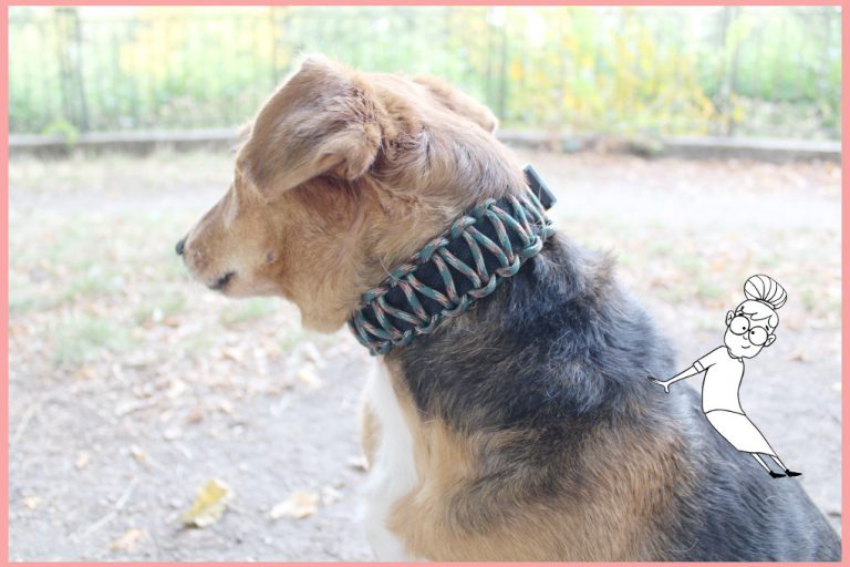 Halsband selber machen mit frau friemel Halsband selber machen mit frau friemel