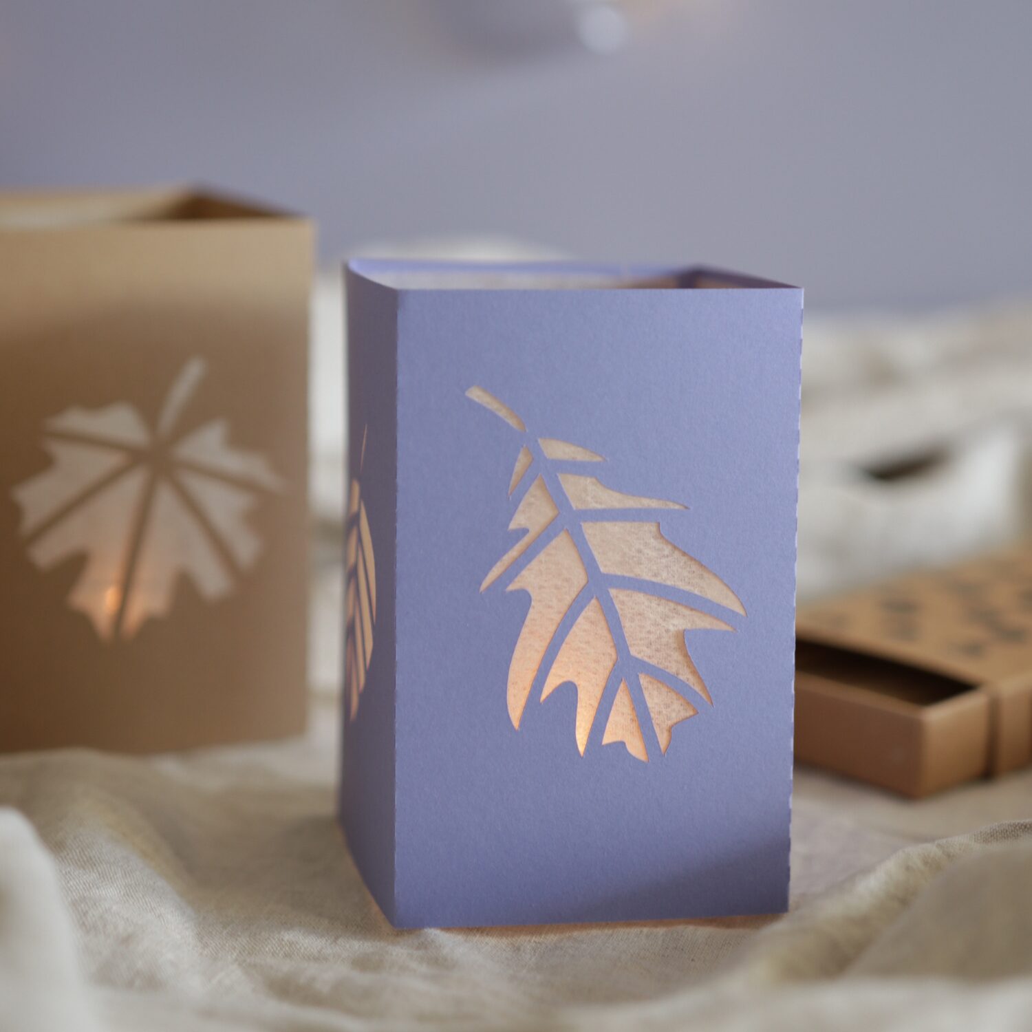 Herbstlaterne plotten